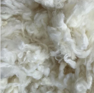 raw wool fiber
