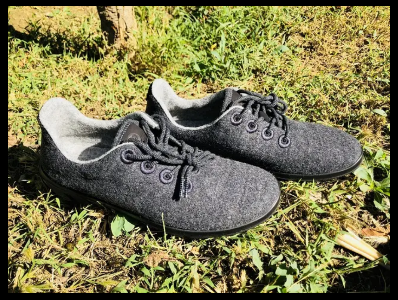 best merino wool shoes